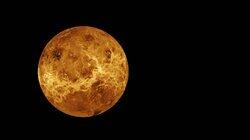 Venus Venus