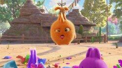 Piñata Piñata