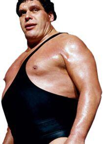 André the Giant André the Giant