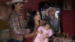 El regreso El regreso