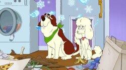 Who's Having A Merry Trashmas? Who's Having A Merry Trashmas?