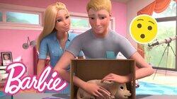 What’s In The Box Challenge REMATCH! What’s In The Box Challenge REMATCH!