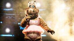 Hippo Hippo