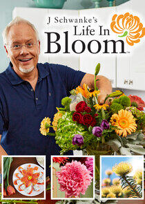 J Schwanke's Life in Bloom J Schwanke's Life in Bloom