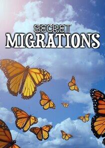 Secret Migrations Secret Migrations