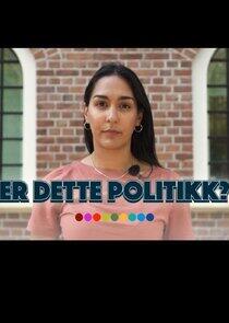 Er dette politikk?