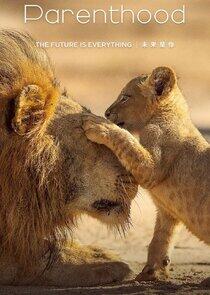 Parenthood