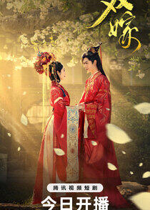 Shuang Jia