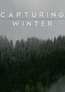 Capturing Winter Capturing Winter
