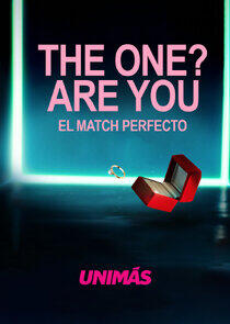 Are You the One? El Match Perfecto