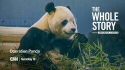 Operation Panda Operation Panda