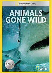 Animals Gone Wild - Season 1 Animals Gone Wild - Season 1