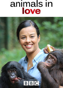 Animals in Love - Season 1 Animals in Love - Season 1