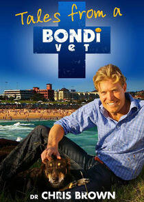 Bondi Vet Bondi Vet