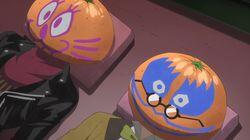 Mandarins! Mandarins! Fried mandarins? Mandarins! Mandarins! Fried mandarins?