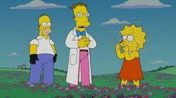 The Burns and the Bees The Burns and the Bees