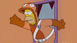 See Homer Run See Homer Run