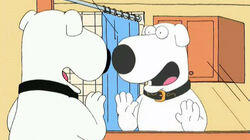 Brian: Portrait of a Dog Brian: Portrait of a Dog