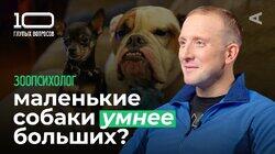 Зоопсихолог | Михаил Меньшиков Зоопсихолог | Михаил Меньшиков