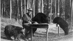 Great Nature (1933-1945) Great Nature (1933-1945)