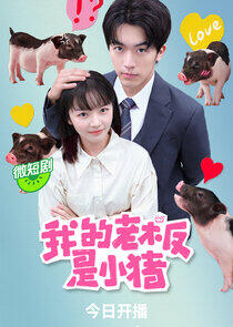 My Piggy Boss My Piggy Boss