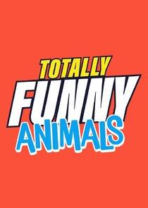 Totally Funny Animals Totally Funny Animals