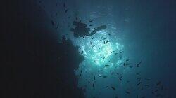 Submerged Evidence Submerged Evidence