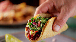 Tortas, Tomatoes and Tequila Tortas, Tomatoes and Tequila