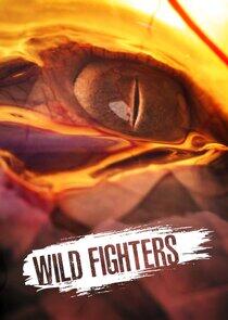 Wild Fighters Wild Fighters
