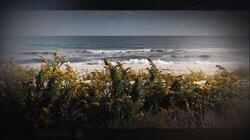 The Hunt for the Gilgo Beach Killer The Hunt for the Gilgo Beach Killer
