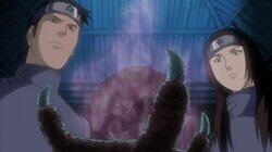 Hoshikage, The Buried Truth Hoshikage, The Buried Truth