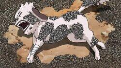 Kiba's Long Day! Kiba's Long Day!