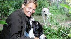 Dog Tales: The Making of Man's Best Friend Dog Tales: The Making of Man's Best Friend