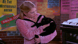 A Girl and Her Cat A Girl and Her Cat