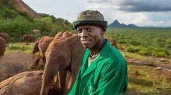 Baby Elephant Rescue