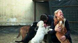 Pen and the Dogs of War Pen and the Dogs of War