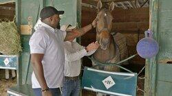Horse Handicapper / Trainer Horse Handicapper / Trainer