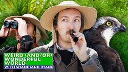 Shane & Ryan Go Birdwatching Shane & Ryan Go Birdwatching