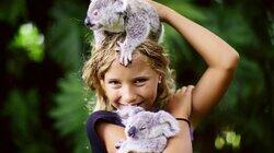 Izzy the Koala Whisperer Izzy the Koala Whisperer