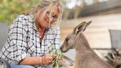 Theresa and Scruff's Kangaroo Haven Theresa and Scruff's Kangaroo Haven