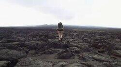 The Galapagos Giant The Galapagos Giant