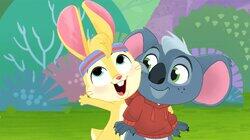 Zigzag's Buddy Worry Zigzag's Buddy Worry