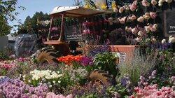 Episode 19 - Winter: Designer gardens & strawberry baskets Episode 19 - Winter: Designer gardens & strawberry baskets
