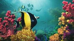 Beneath the Waves Beneath the Waves