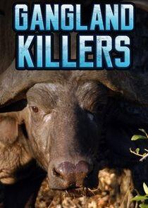 Gangland Killers Gangland Killers