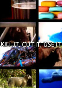 Kill It, Cut It, Use It Kill It, Cut It, Use It