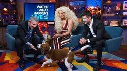 Erika Jayne, Parker Young Erika Jayne, Parker Young
