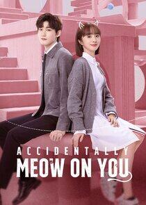 Accidentally Meow on You Accidentally Meow on You