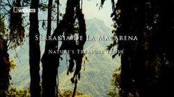 Serrania De La Macarena: Nature's Treasure Trove Serrania De La Macarena: Nature's Treasure Trove