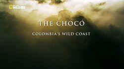 The Chocó: Colombia's Wild Coast The Chocó: Colombia's Wild Coast